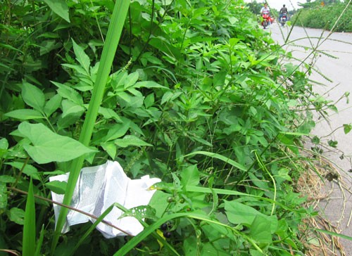Phao thi vứt trong bụi cây ở trước Trường THPT Thượng Cát (H.Từ Liêm, Hà Nội - Ảnh: Đan Hạ